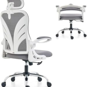 Ergonomic Office Chair with Foldable Backrest, Computer Desk Chair with Flip-up Armrests, Mesh Lumbar Support and 2D Headrest Big and Tall Office Chair, White (Folder2-GR)