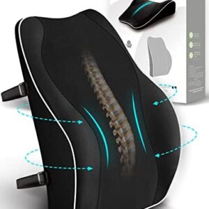 Travel Ease Ergonomic Lumbar Support Cushion, Memory Foam Back Support Cushion for Office Chairs with Skin-friendly Cover for Comfort (Black)