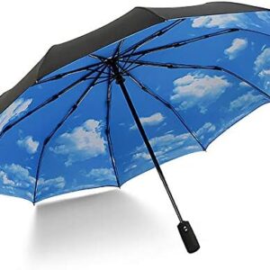 Compact Umbrella Windproof Folding Travel Umbrella - Automatic Umbrellas (Blue Sky)